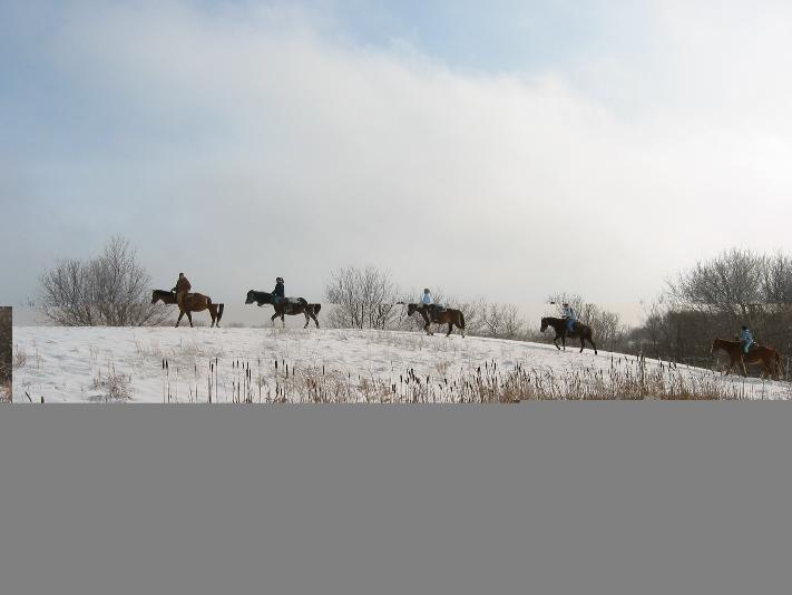 We offer year-round trail riding opportunities