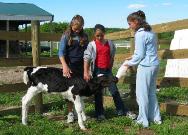 Petting Farm